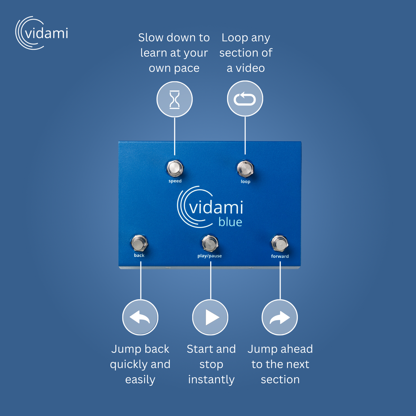 
                  
                    Vidami Blue functions infographic
                  
                