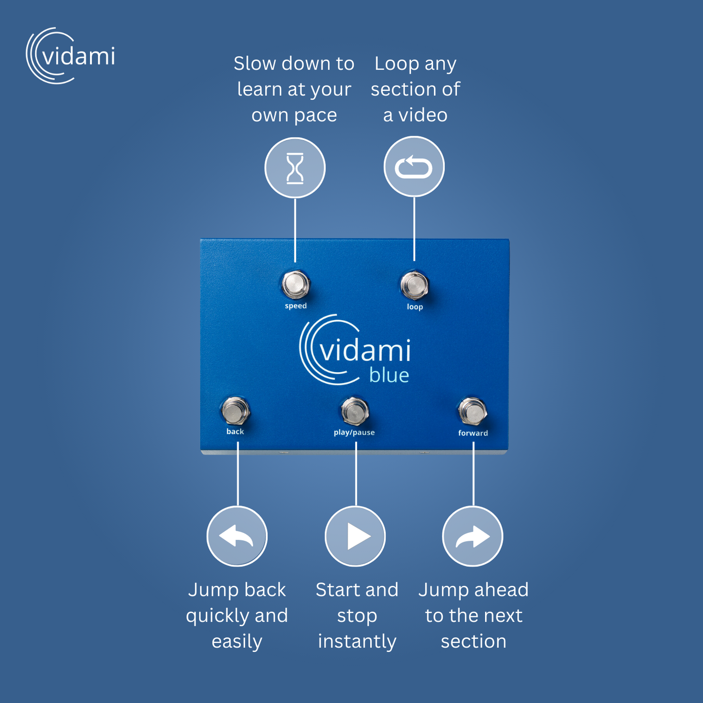 Vidami Blue functions infographic